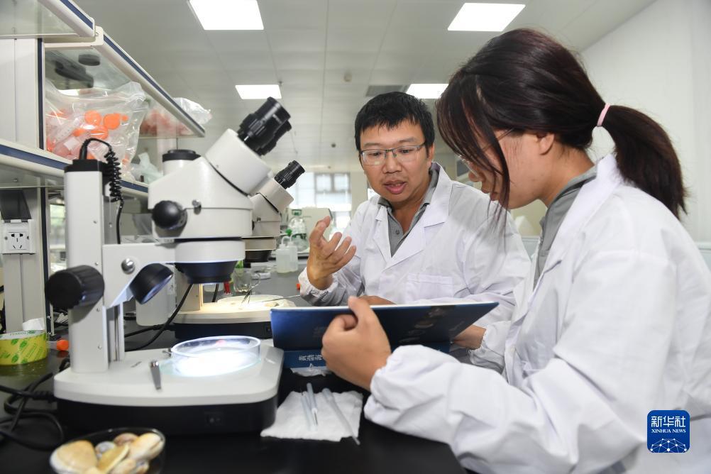 宝马游戏手机网站